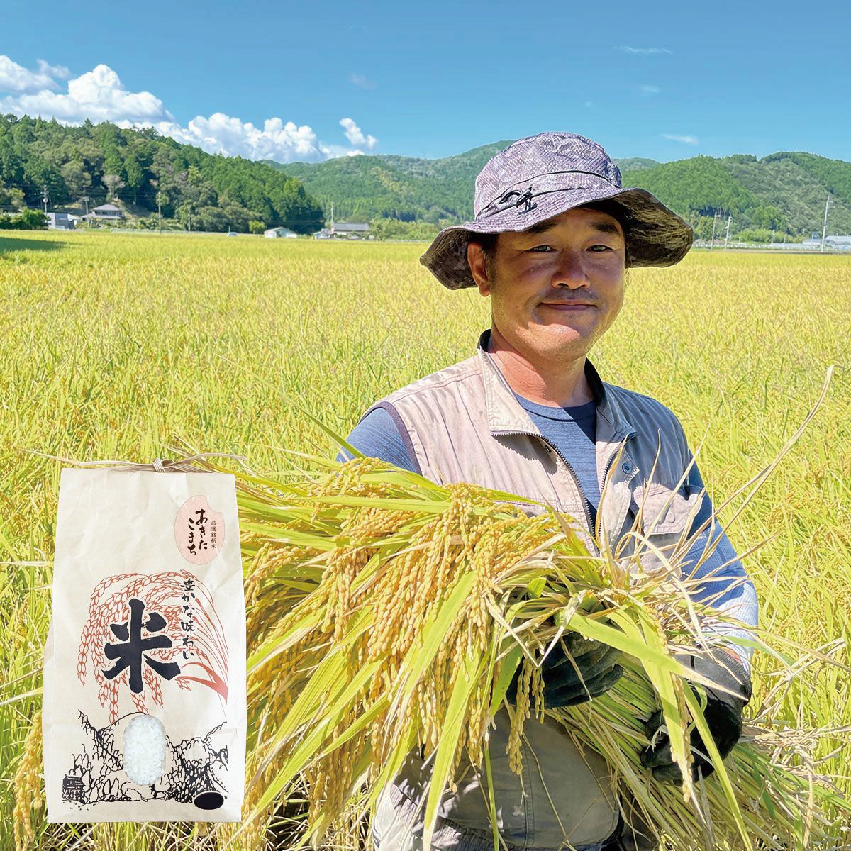 令和8年産【新米】今だけお買い得！送料無料！ | しまんとリバーストア