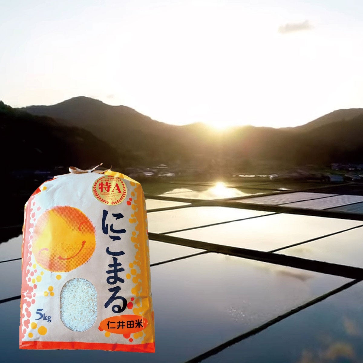 令和7年産【新米】今だけ送料無料！ | しまんとリバーストア